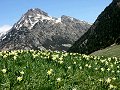 Excursions en Andorre: Vallée d'INCLES et étang de JUCLAR