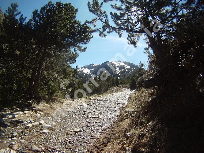 Chemin de la montée entre la vallée d'Inclès et les étangs de Juclar (Andorre)